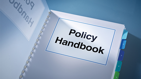 Employee policy and procedures manual